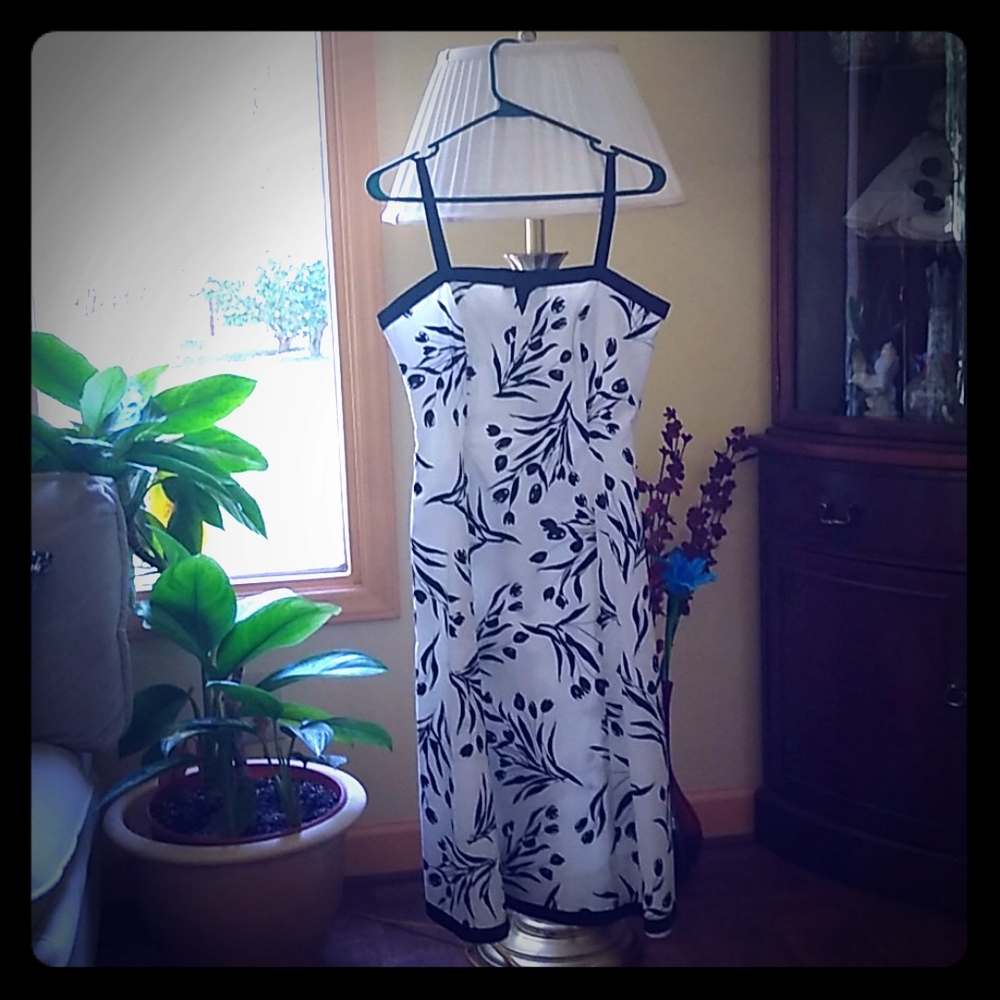 Dress Size 12